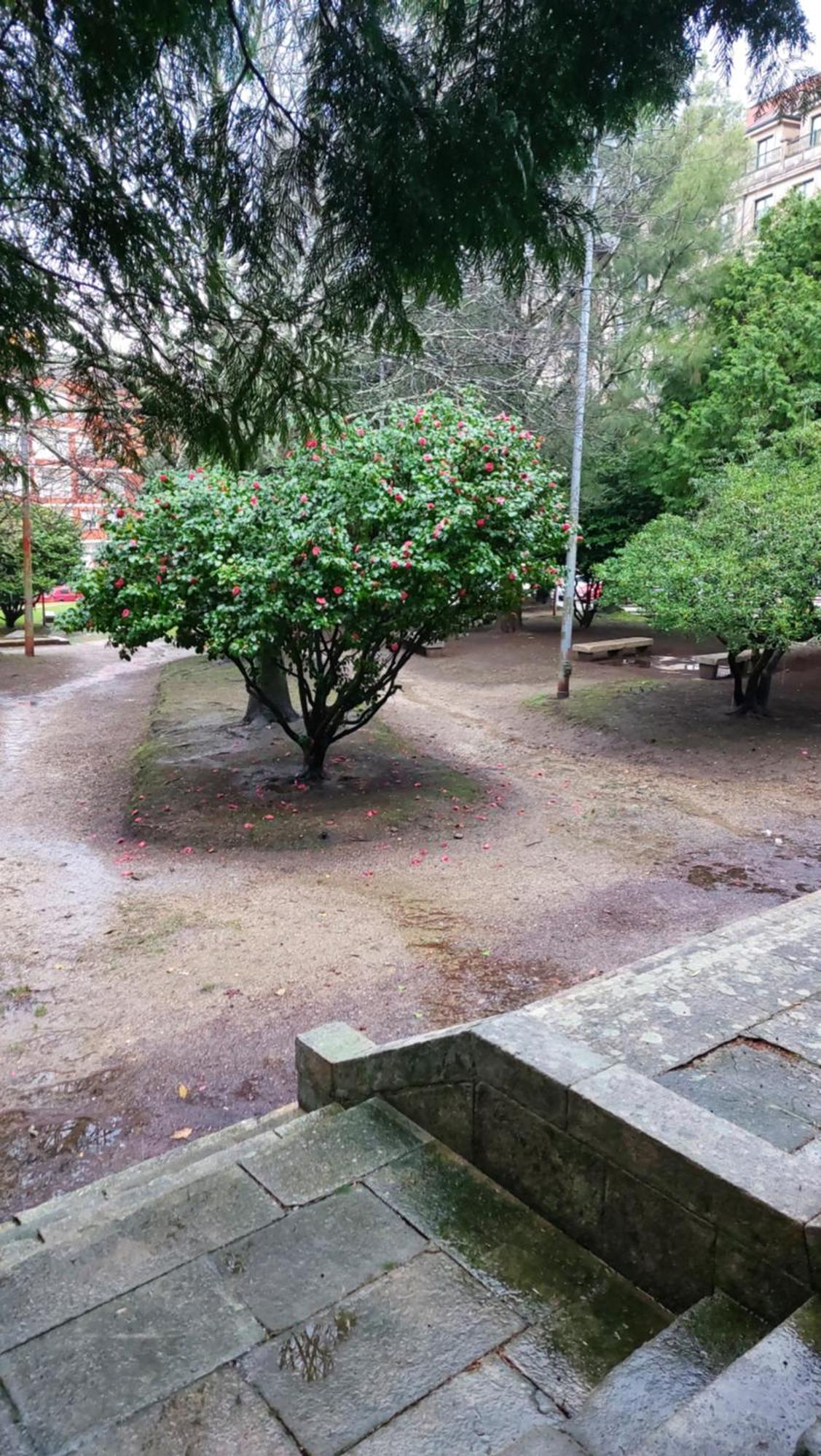 Piso En Villagarcia De Arosa Vilagarcia de Arousa Zewnętrze zdjęcie